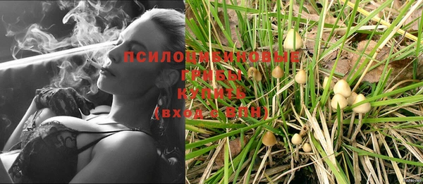 кокс Богородицк