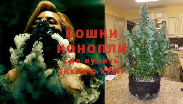 кокс Богородицк