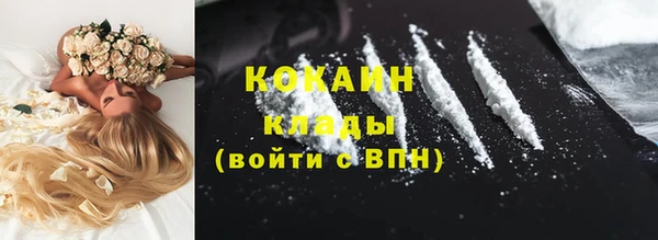 кокс Богородицк